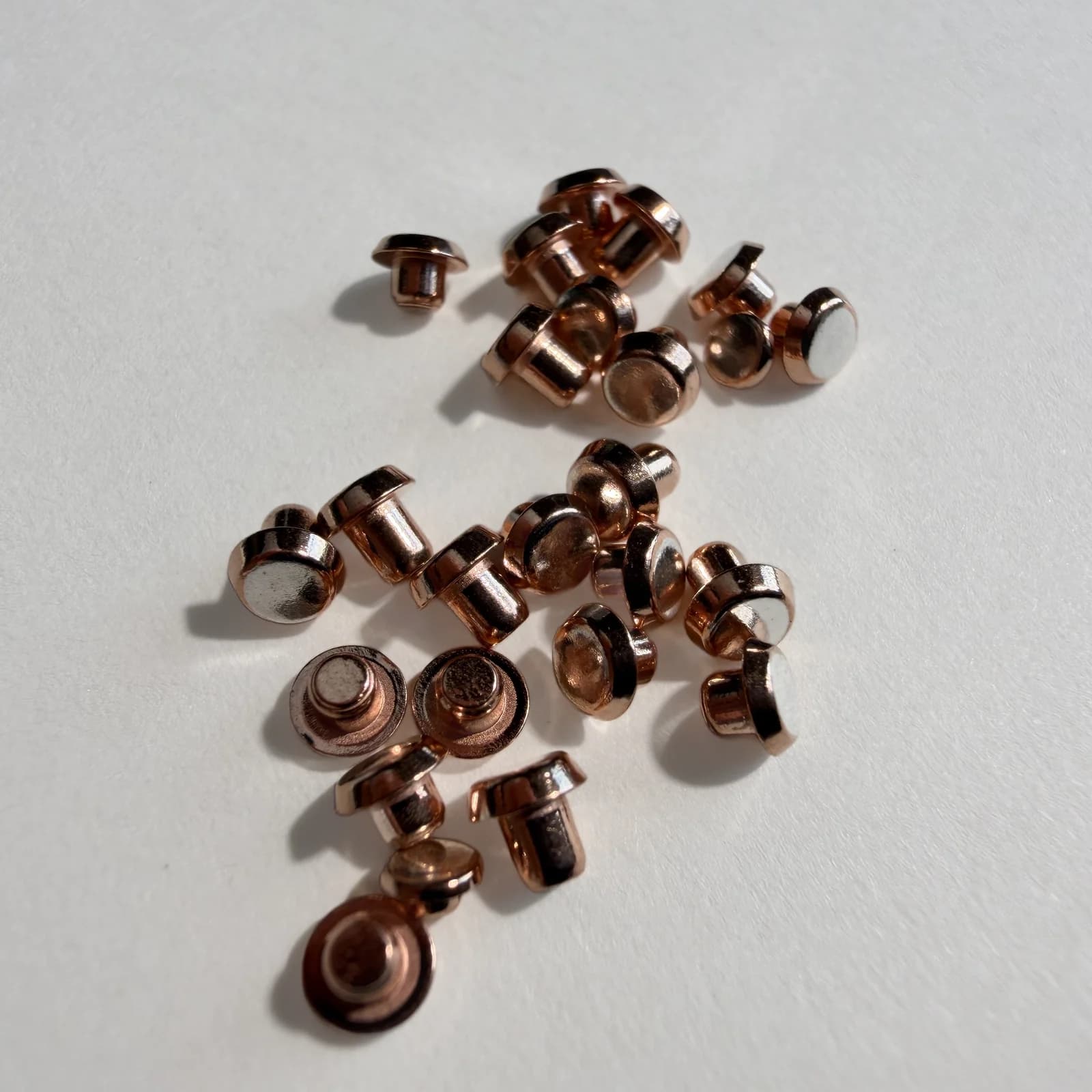 Bimetal electrical contact rivets photographed on a neutral background.